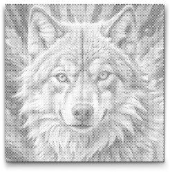  PontPöttyöző - Farkas rózsaszín árnyalatokban Méret: 50x50cm, Keretezés: Kartonlemezen, Szín: Kék