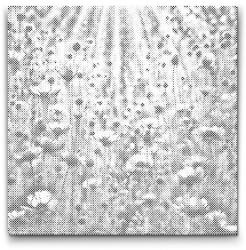  PontPöttyöző - Az emlékek kék mezeje Méret: 50x50cm, Keretezés: Kartonlemezen, Szín: Piros