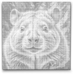 PontPöttyöző - Wombat tompa zöld árnyalatokban Méret: 50x50cm, Keretezés: Keret nélkül (csak a vászon), Szín: Piros