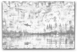  PontPöttyöző - Halak Méret: 40x60cm, Keretezés: Keret nélkül (csak a vászon), Szín: Piros