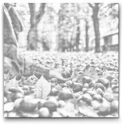  PontPöttyöző - Gesztenyék közelről Méret: 50x50cm, Keretezés: Kerek keret, Szín: Zöld