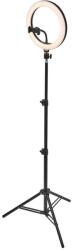 OSRAM Ledvance - LED Dimmelhető fényerejű lámpa állvánnyal és tartóval vlogozáshoz LED/6W/USB P227502 (P227502)