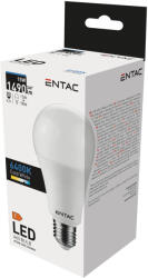 Entac LED Globe E27 15W CW 6400K (LLG27-15W-CW) - alphadenthigienia