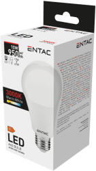 Entac LED Globe E27 10W WW 3000K (LLG27-10W-WW) - alphadenthigienia