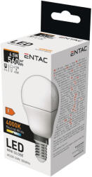 Entac LED Mini Globe E14 6, 5W NW 4000K (LLMG14-6-5W-NW)