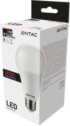 Entac LED Globe E27 15W WW 3000K (LLG27-15W-WW) - alphadenthigienia