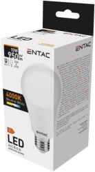 Entac LED Globe E27 10W NW 4000K (LLG27-10W-NW) - alphadenthigienia