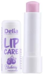 Delia Cosmetics Balsam de Buze Delia, Afine, 4.9 g (DEM000772)