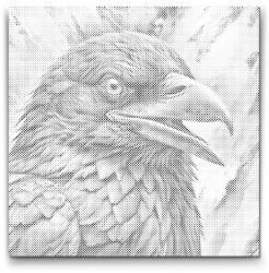  PontPöttyöző - Holló vörös és kék árnyalatokban Méret: 50x50cm, Keretezés: Keret nélkül (csak a vászon), Szín: Fekete