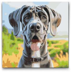 Festés számok szerint - Dán dog Méret: 50x50cm, Keretezés: Kartonlemezen