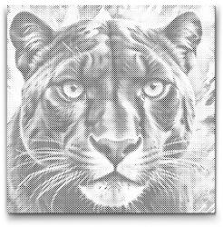  PontPöttyöző - Párduc piros és kék árnyalatokban Méret: 50x50cm, Keretezés: Kerek keret, Szín: Fekete