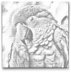  PontPöttyöző - Papagáj rózsaszín árnyalatokban Méret: 50x50cm, Keretezés: Kerek keret, Szín: Fekete