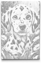  PontPöttyöző - Dalmata kölyökkutya Méret: 40x60cm, Keretezés: Keret nélkül (csak a vászon), Szín: Fekete