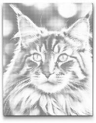 PontPöttyöző - Maine Coon macska Méret: 30x40cm, Keretezés: Kartonlemezen, Szín: Kék