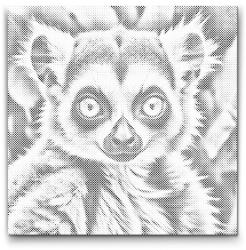  PontPöttyöző - Lemur tompa zöld árnyalatokban Méret: 50x50cm, Keretezés: Műanyagtáblával, Szín: Fekete