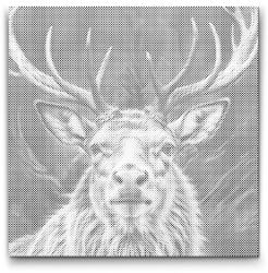  PontPöttyöző - Rénszarvas tompa zöld árnyalatokban Méret: 50x50cm, Keretezés: Műanyagtáblával, Szín: Fekete