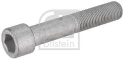 Febi Bilstein Surub, disc frana FEBI BILSTEIN Plus 195479 (195479)