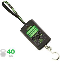  ZFISH ZFISH Mini Scale