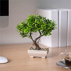 Műnövény dekoráció - bonsai (18x24cm) (11869)