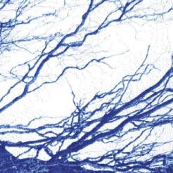 Bony King Of Nowhere Silent Days - facethemusic - 13 490 Ft