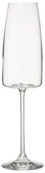 home&you Pahar home&you 154783 340Ml Sampanie (154783) Pahar