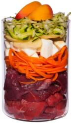 Terra Canis Senior Beef with celery, apricots & herbs 400 g