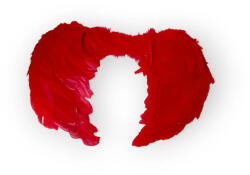 PC Angyal szárny nagy (003690)