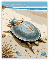  Patkórák a Tengerparton - számfestő készlet