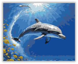  Delfin és Halak a Hullámok Alatt - számfestő készlet