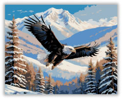  Fehérfejű Rétisas Téli Tájban - számfestő készlet