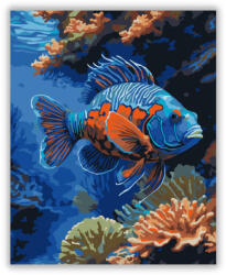  Mandarinhal a Korallzátonynál - számfestő készlet