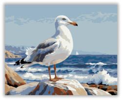  Sirály a Sziklás Parton - számfestő készlet