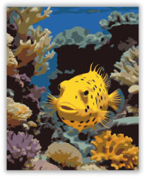  Pöttyös Dobozhal a Korallzátonynál - számfestő készlet