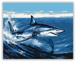  Fürge Mako Cápa - számfestő készlet