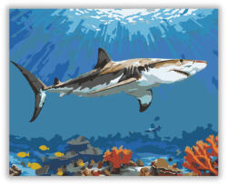  Fehér Cápa a Korallzátony Felett - számfestő készlet