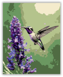 Kolibri a Levendulánál - számfestő készlet