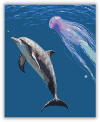  Kíváncsi Delfin - számfestő készlet