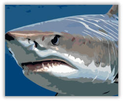  Tigriscápa Közelről - számfestő készlet