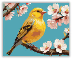  Sárga Kanári a Cseresznyevirág Ágon - számfestő készlet