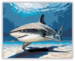  Cápa a Napos Tengerfenéken - számfestő készlet