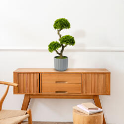  Műnövény dekoráció - bonsai - 55 x 27 cm 11909 (11909)