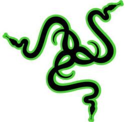 Razer Egér Bungee V3 Chroma (RC21-01520100-R3M1)