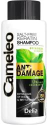 Delia Cosmetics Cameleo Șampon pentru păr deteriorat Anti Damage, 50 ml