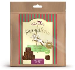 Terra Canis Terra Canis Sensations Training Wonders Beef 90 g