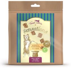 Terra Canis Terra Canis Sensations Mighty Munchies Chicken 90 g