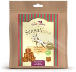 Terra Canis Terra Canis Sensations Training Wonders Chicken 90 g