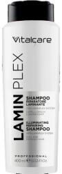 Vitalcare Sampon pentru par deteriorat Laminplex, 400ml, Vitalcare