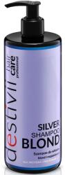 Destivii Sampon nuantator Blond-Argintiu, 500ml, Destivii