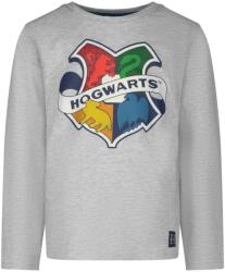 Harry Potter Блуза с дълъг ръкав Harry Potter Hogwarts Grey, размер 128 (DG-HPTR-032_128)