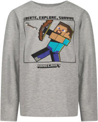 Minecraft Блуза с дълъг ръкав MINECRAFT Steve, размер 140 (GS-MNCT-0031_140)